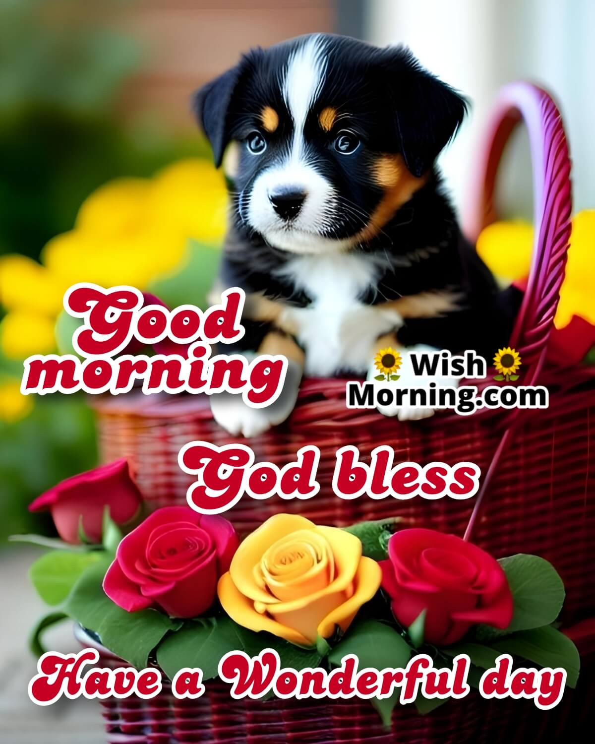 Wonderful Good Morning Dog Image