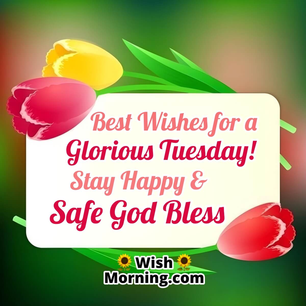 Best Wishes For A Glorious Tuesday!