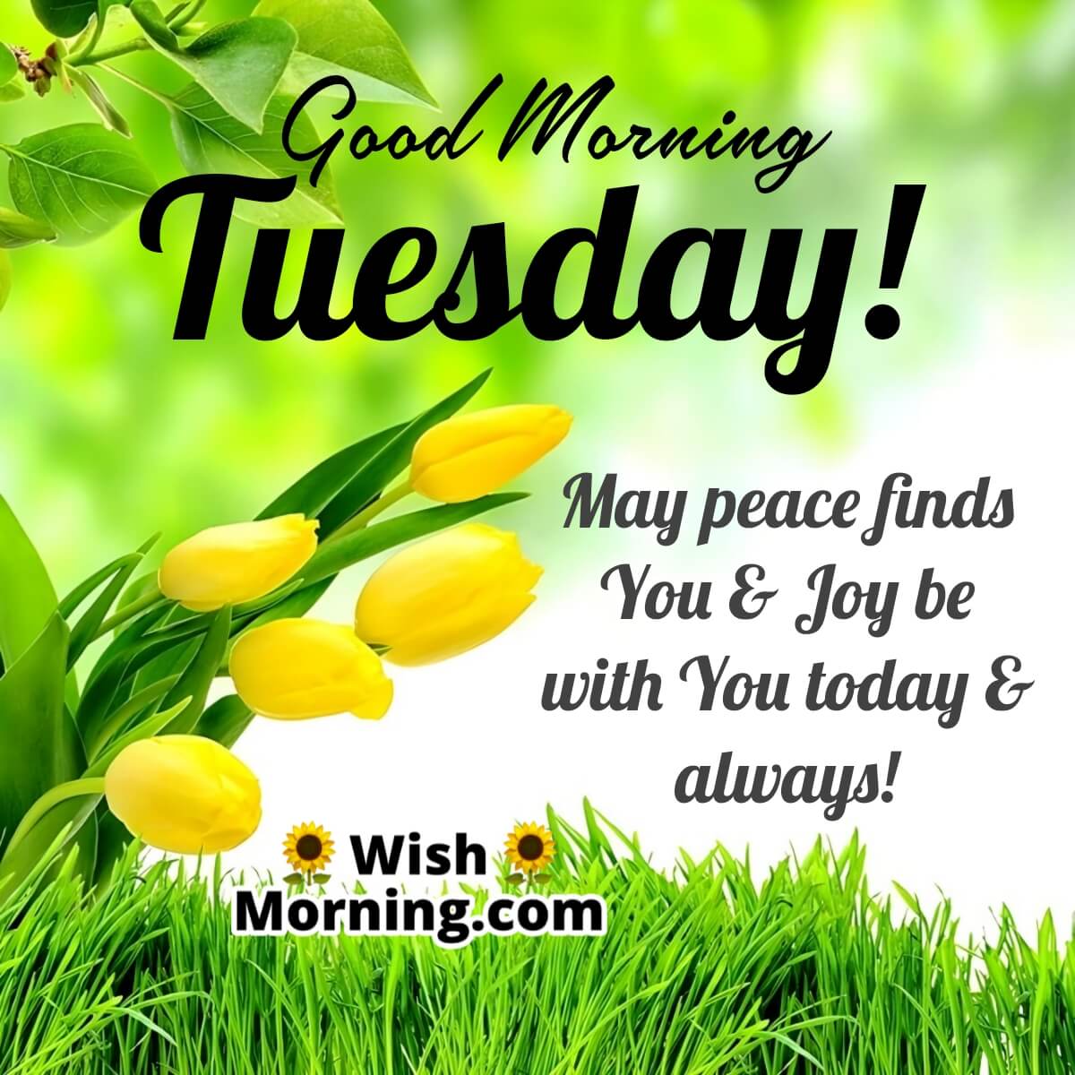 Good Morning Tuesday Wish