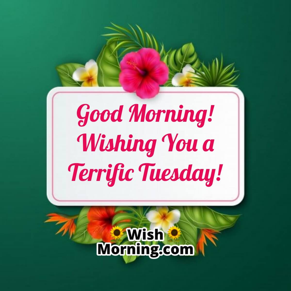 Good Morning! Wishing You A Terrific Tuesday!