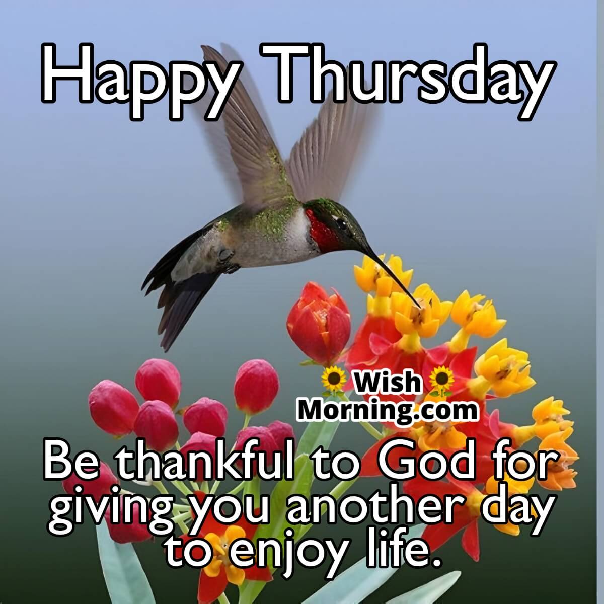 Happy Thursday Be Thankful To God