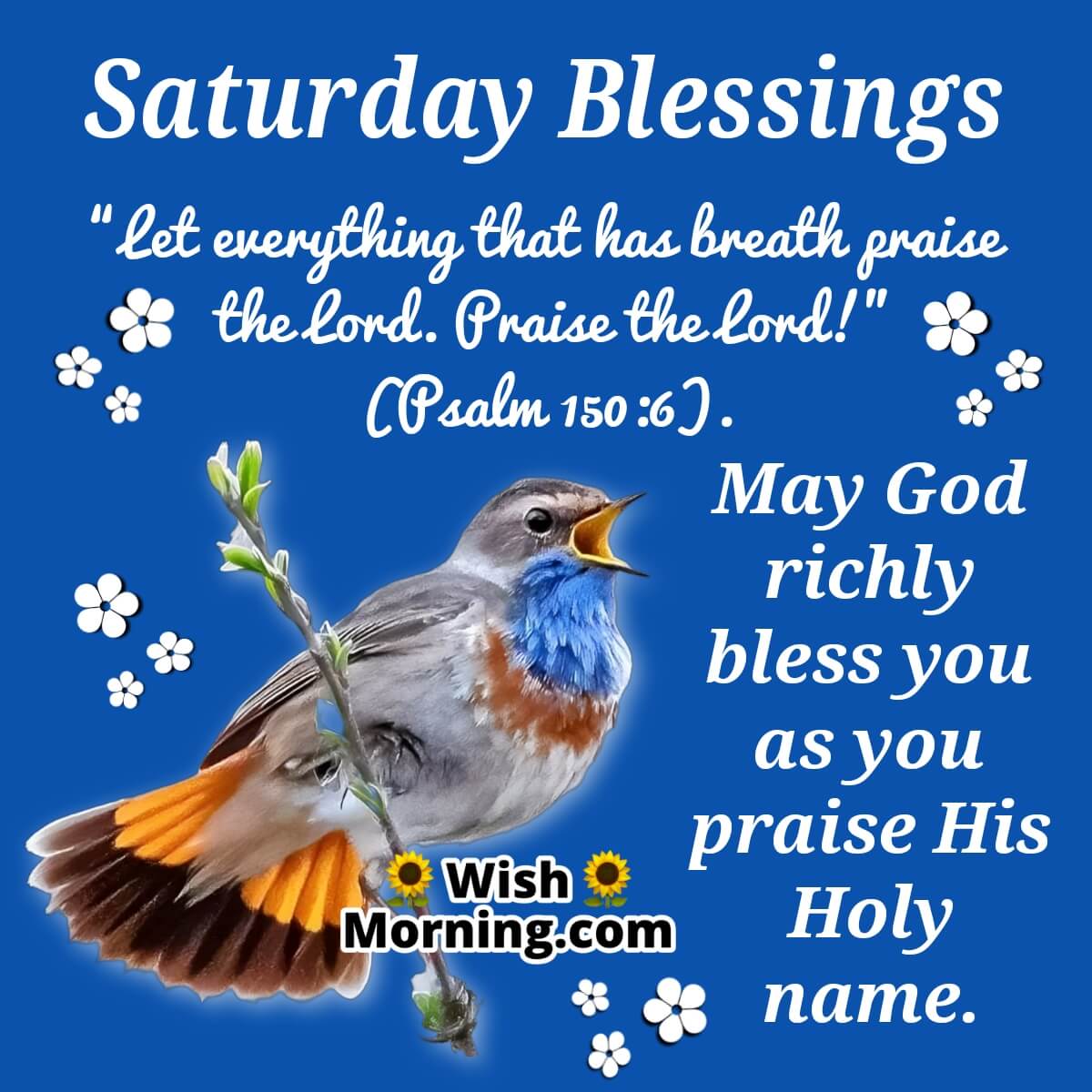 Good Morning Saturday Wish Morning