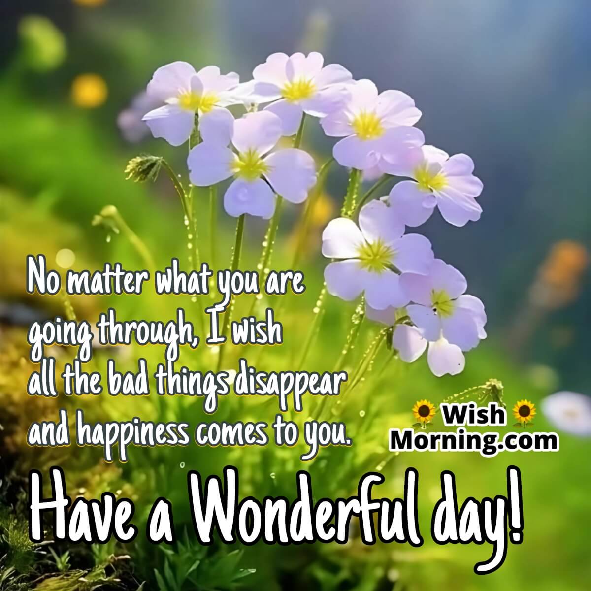 Wonderful Day Message