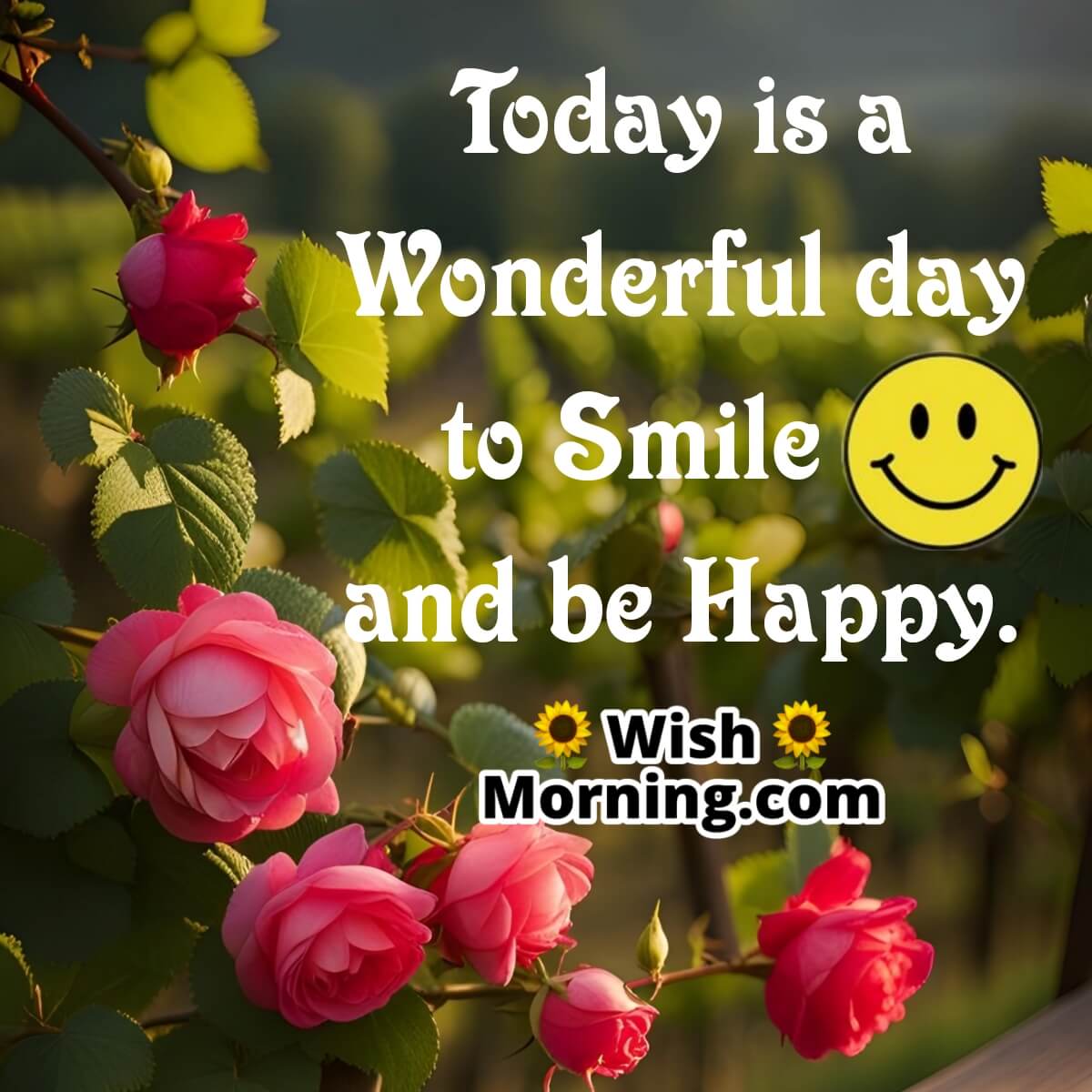 Wonderful Day Smile Be Happy