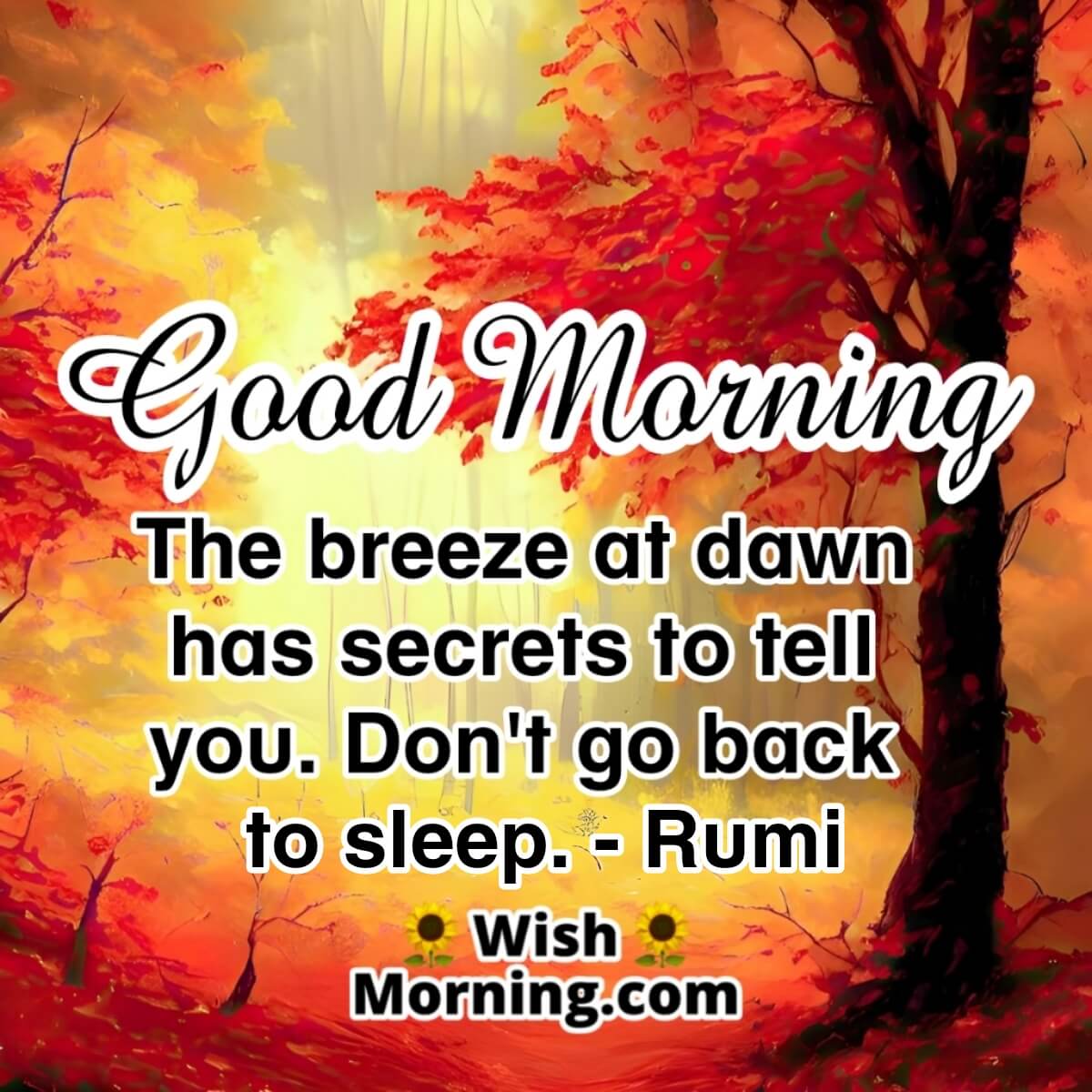 Good Morning Rumi Motivating Quote