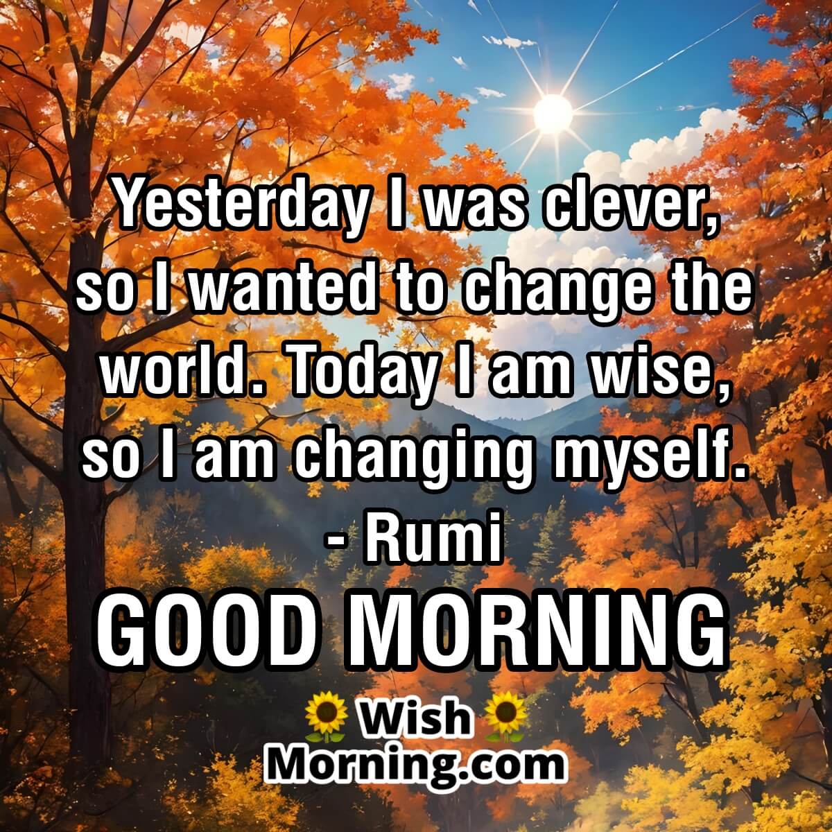 Good Morning Rumi Quote For Status
