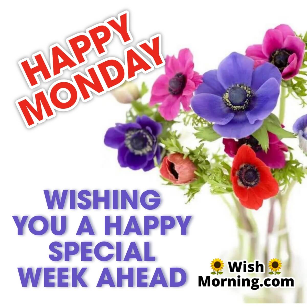Happy Monday Wishing Happy Special Week Ahead
