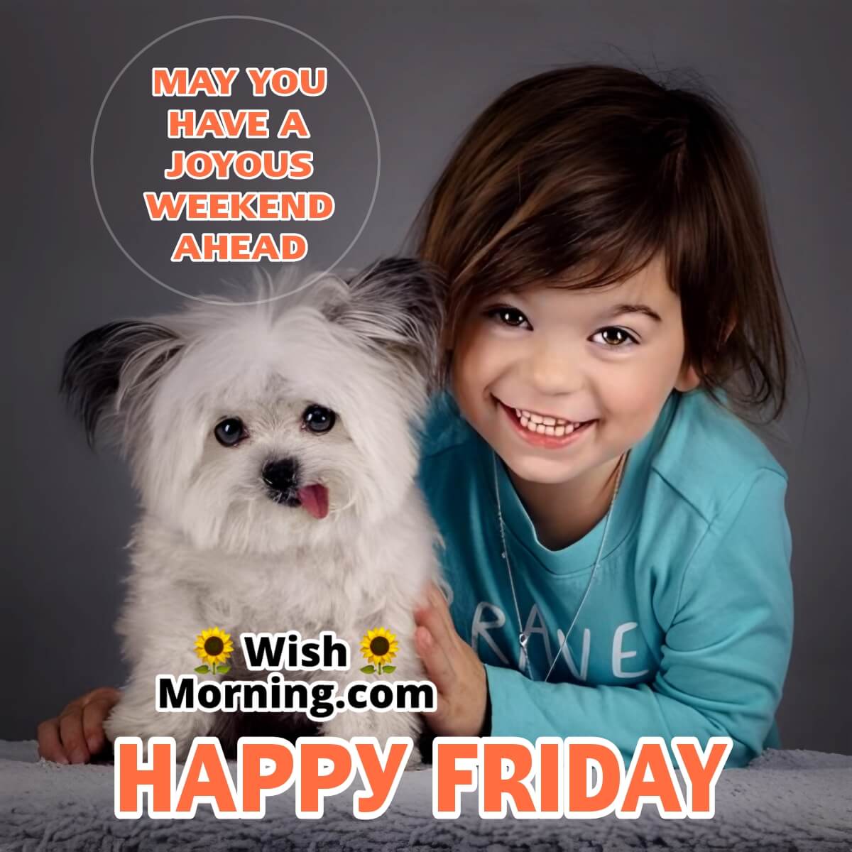 Happy Friday Joyous Weekend Wish
