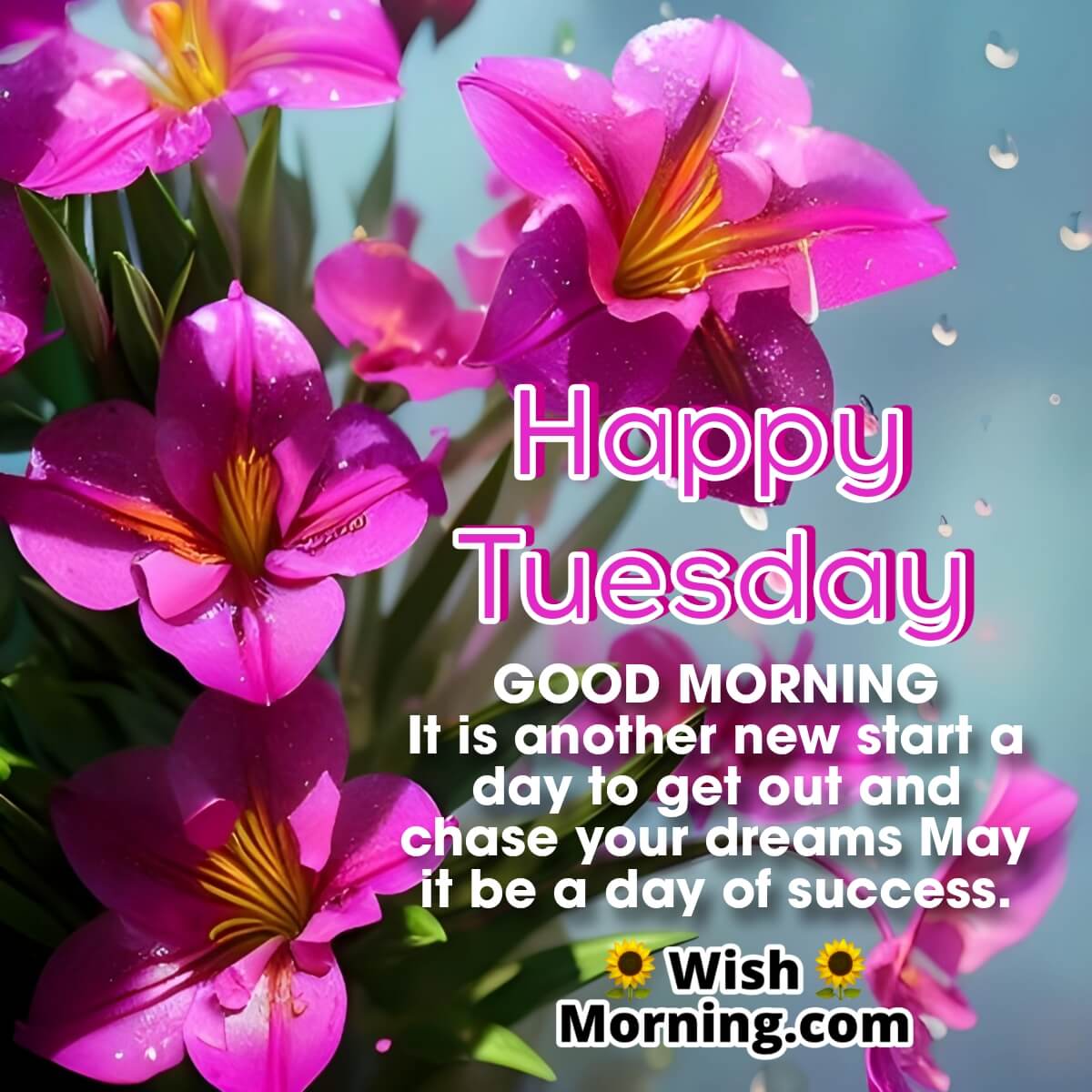 Happy Tuesday Quotes, Tuesday Quotes - wishes1234