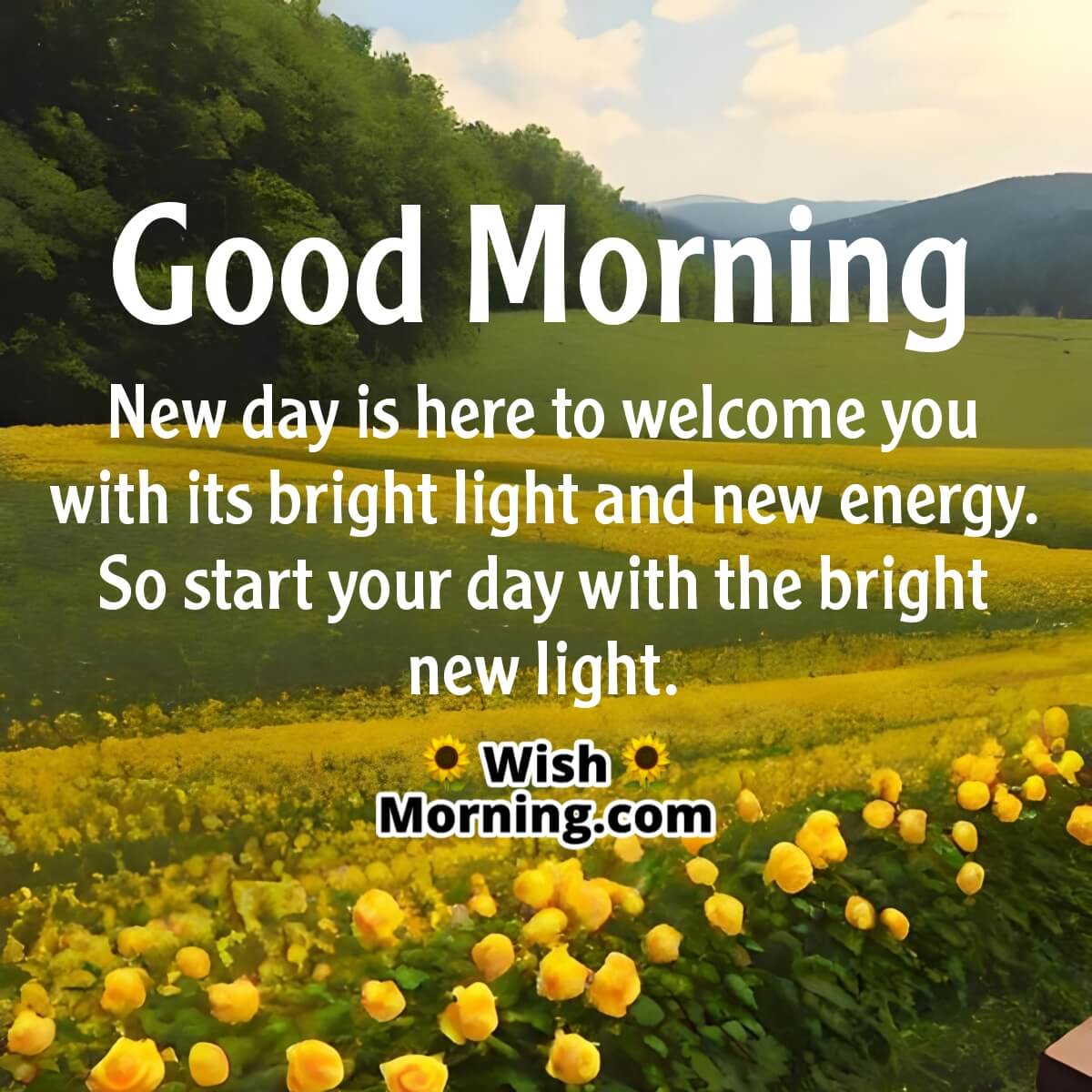 Good Morning Start Day With Bright Light
