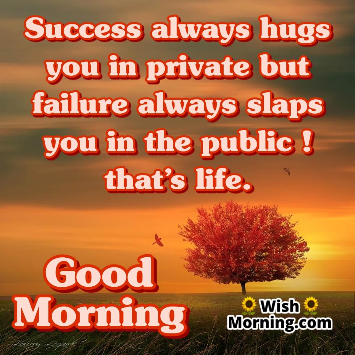 Good Morning Success Quote Pic