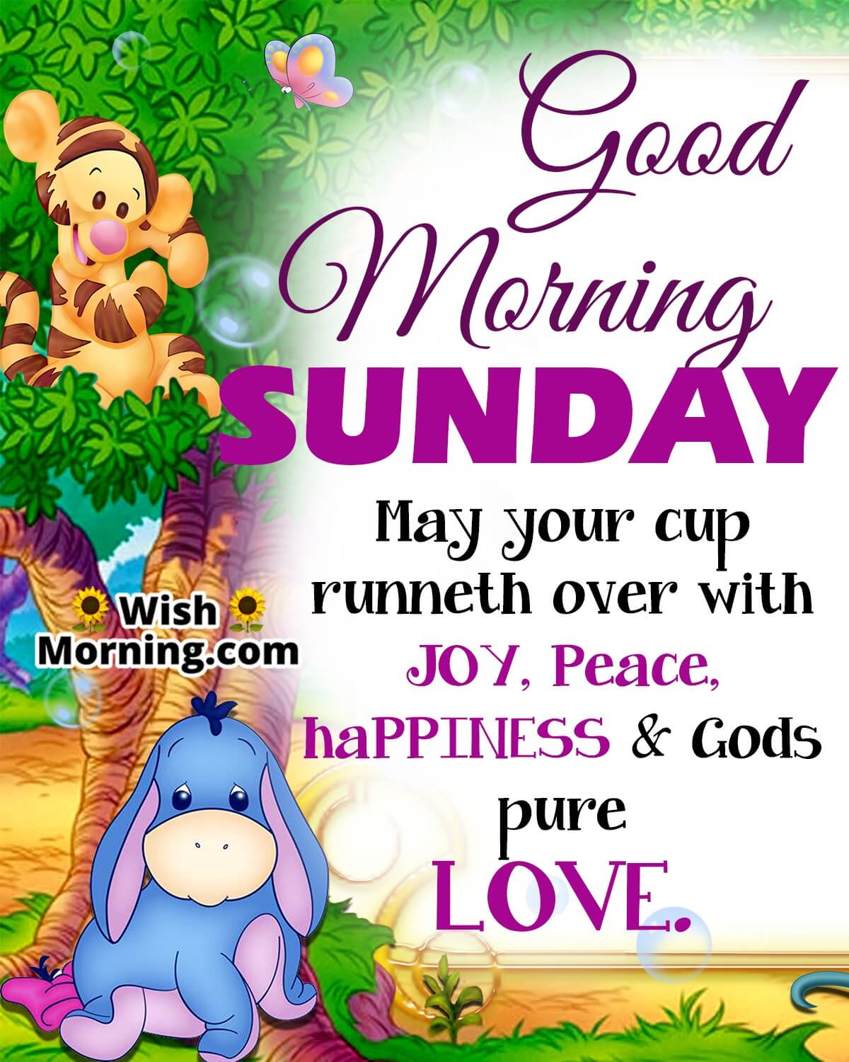 Good Morning Sunday Wish