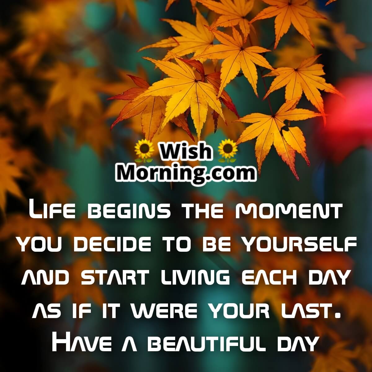 Have A Beautiful Day Life Quote