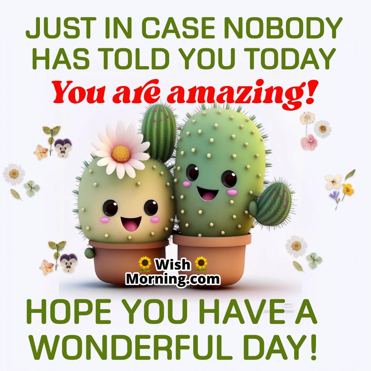 Hope You Have A Wonderful Day