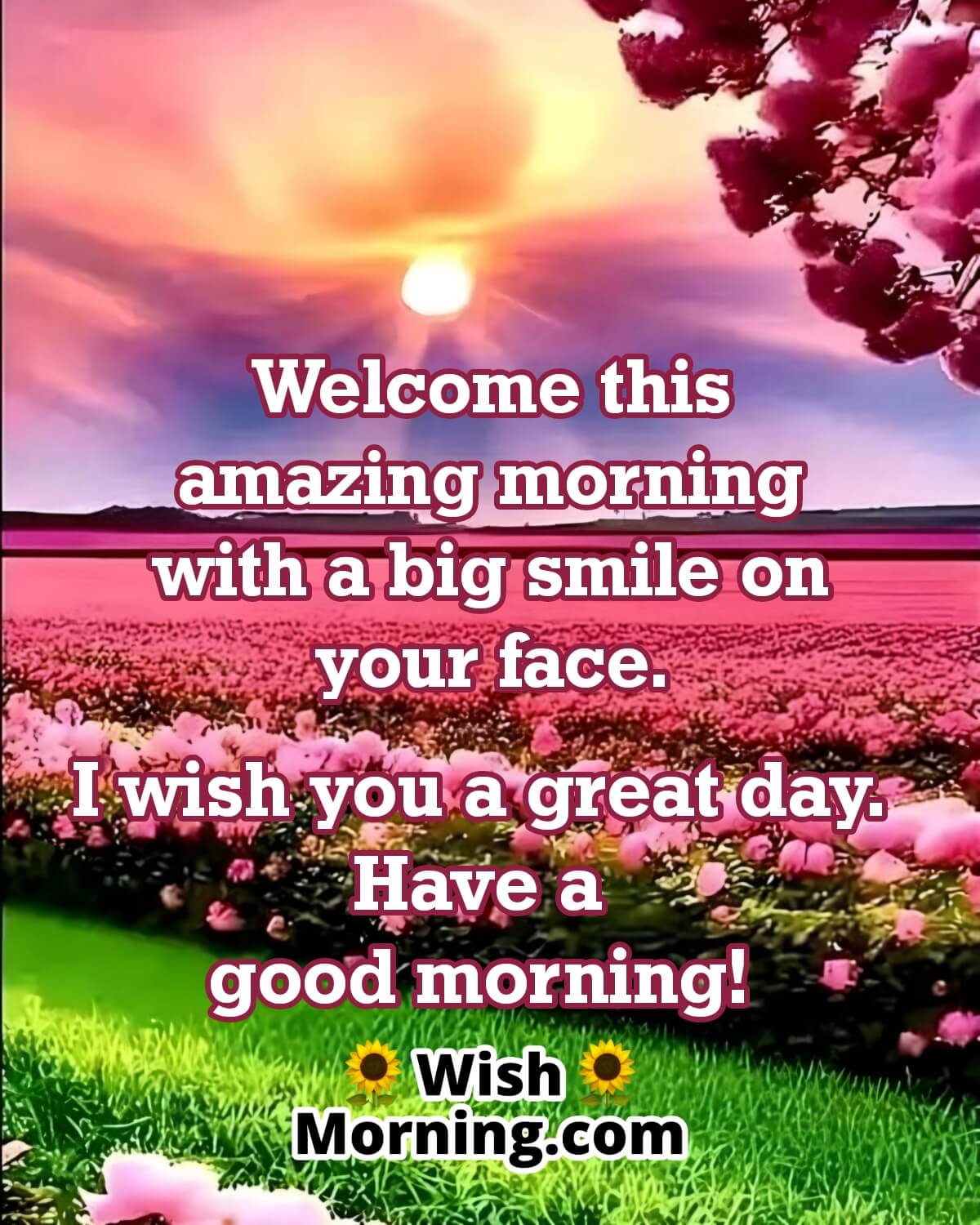 Welcome This Amazing Morning Wish