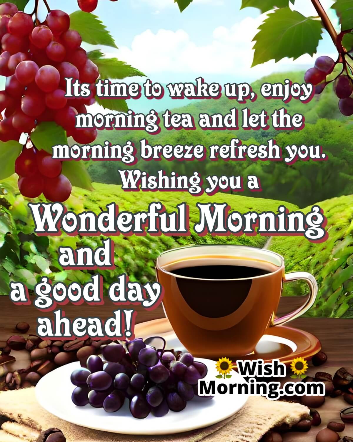 Wishing You A Wonderful Morning And A Good Day