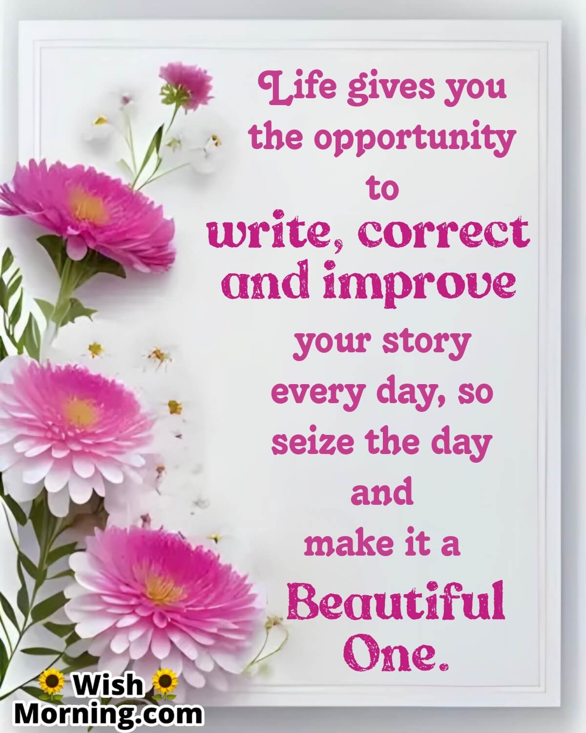 Beautiful Day Life Quote Pic