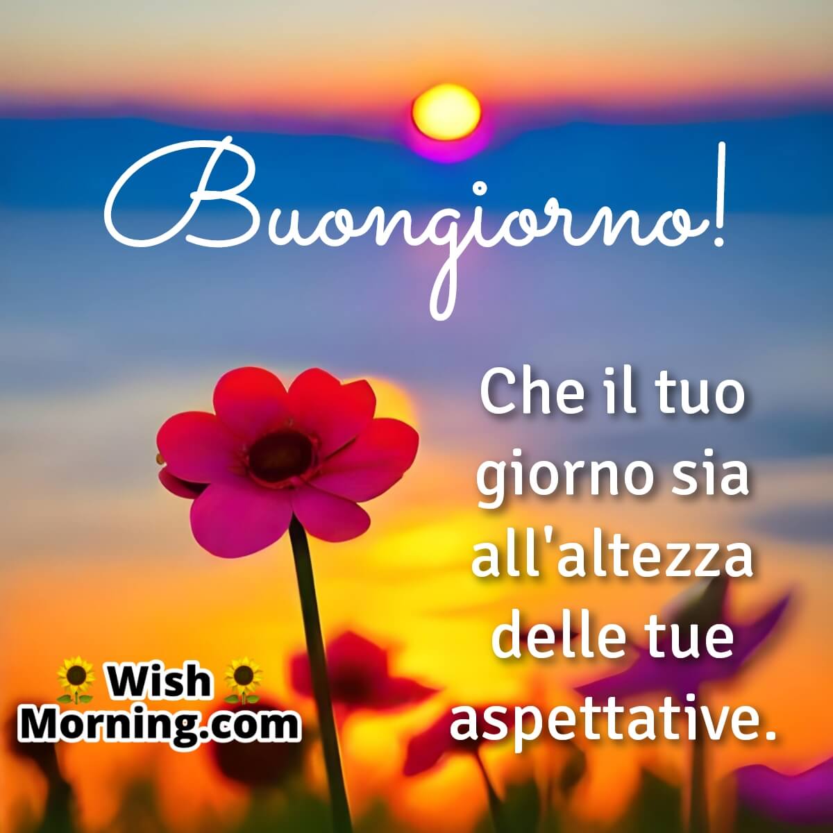 Good Morning Italian Wish
