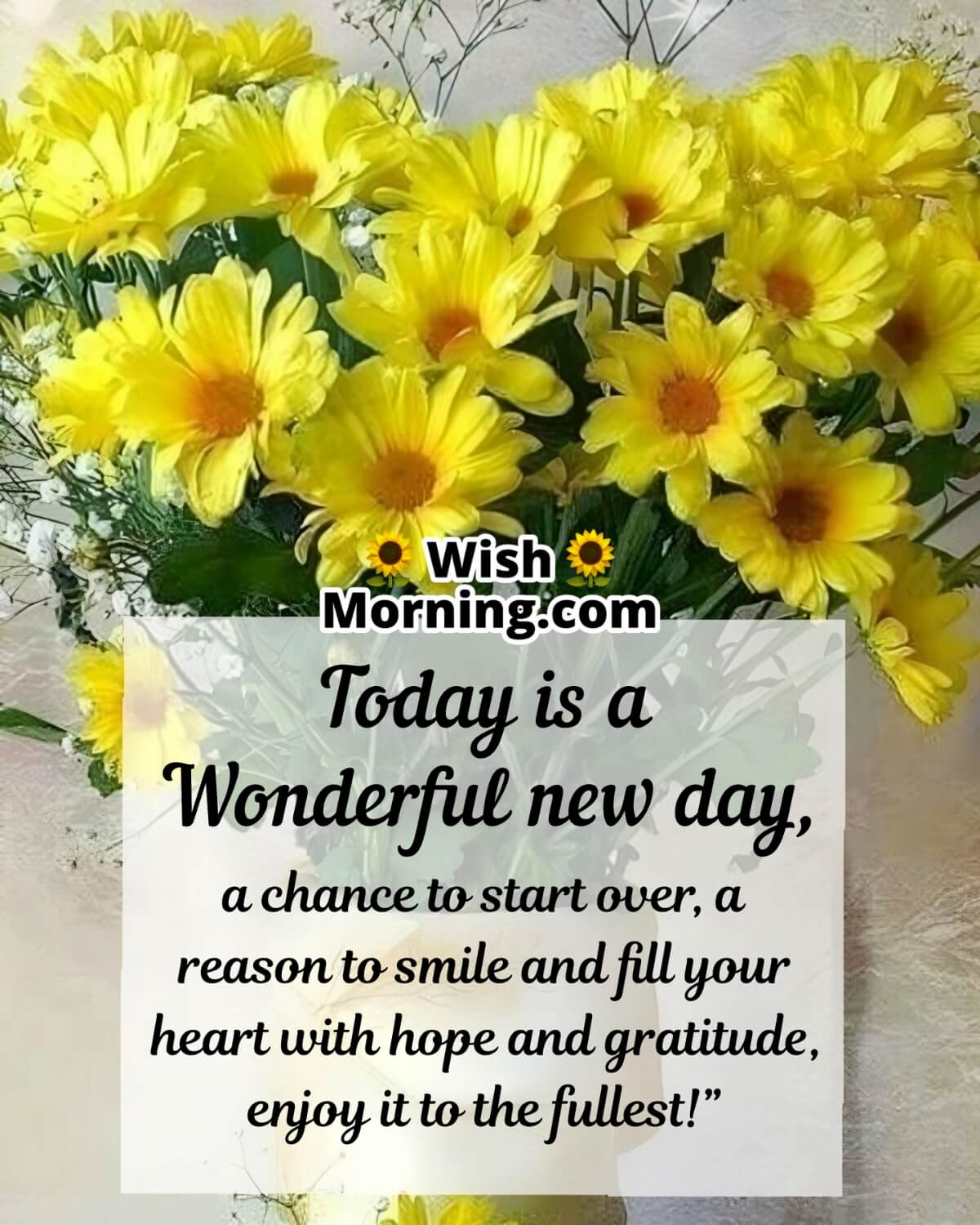 Today Is Wonderful New Day