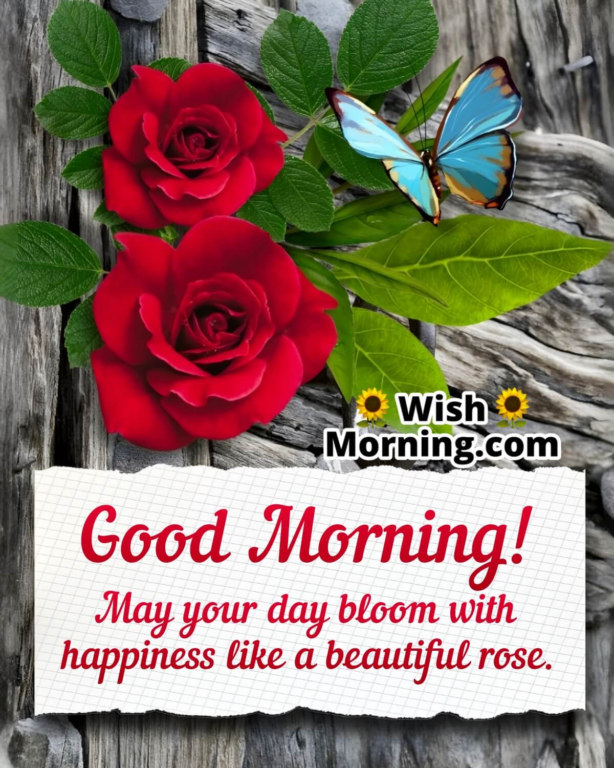 Good Morning Wish With Beautiful Rose
