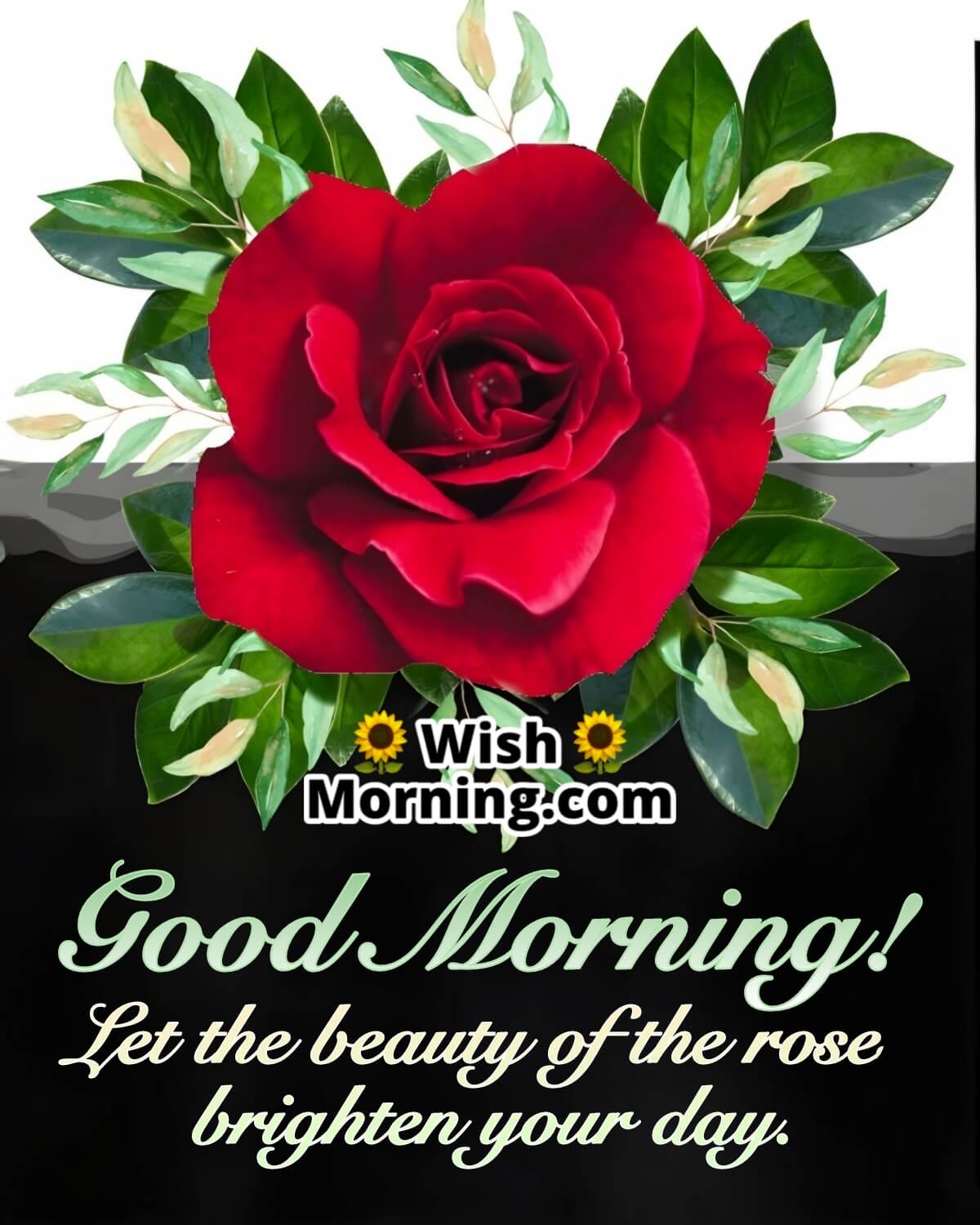 Good Morning Wish With Rose