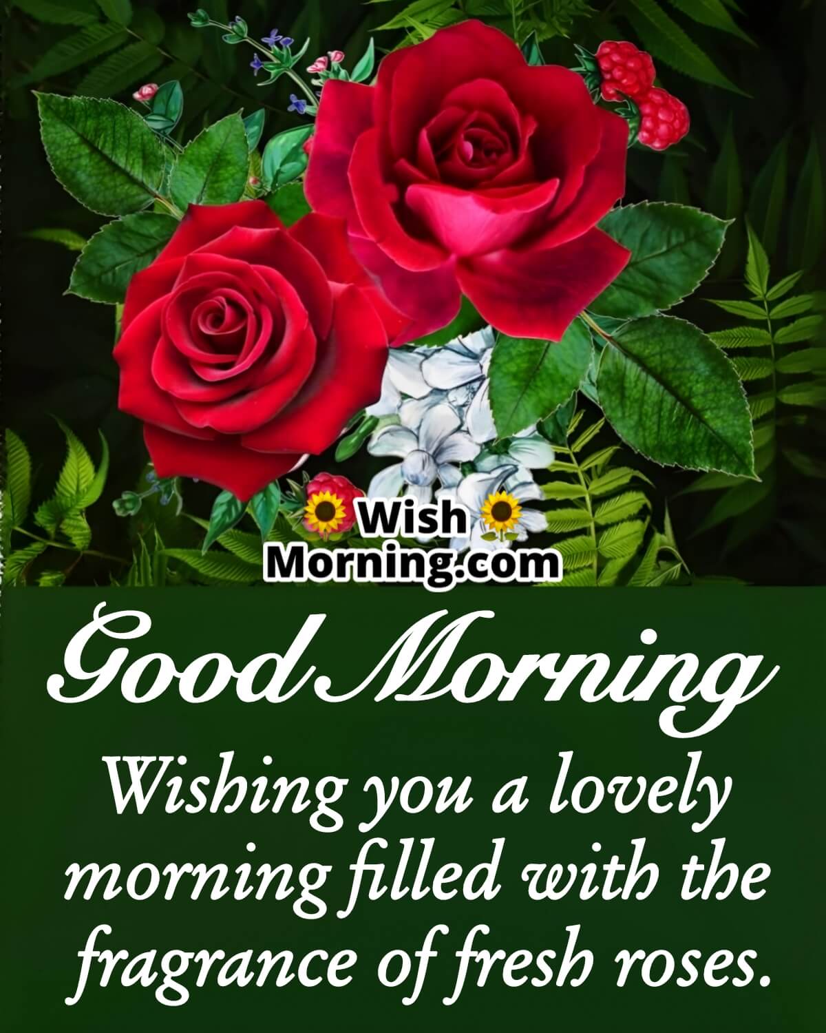 Good Morning Wish With Roses