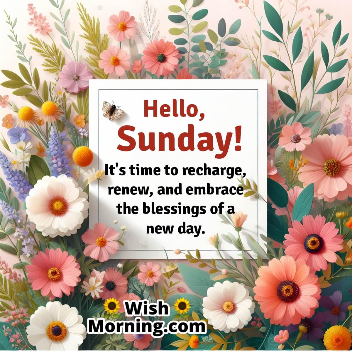 Hello Sunday Message Card