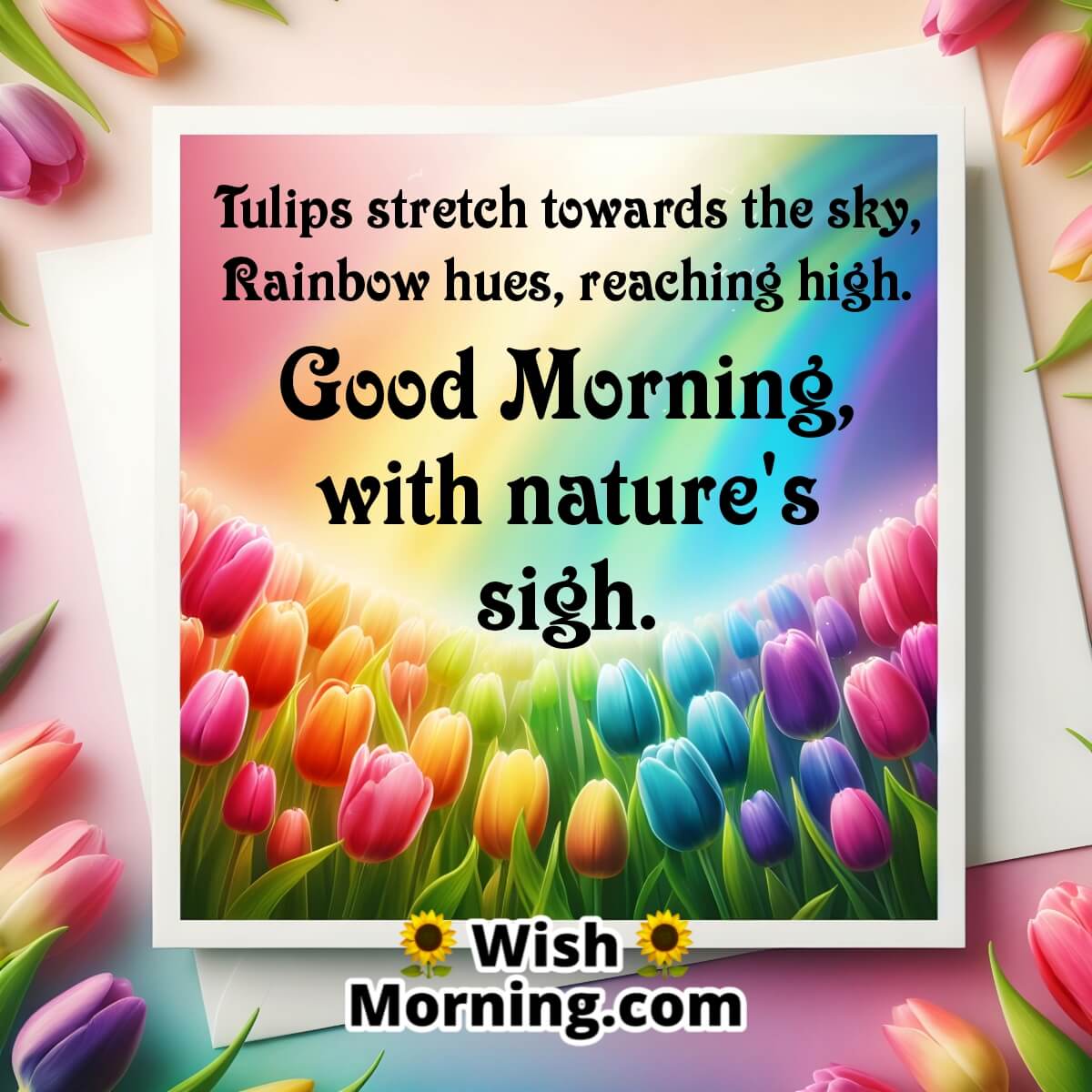 Good Morning Tulip Blossoms Poem