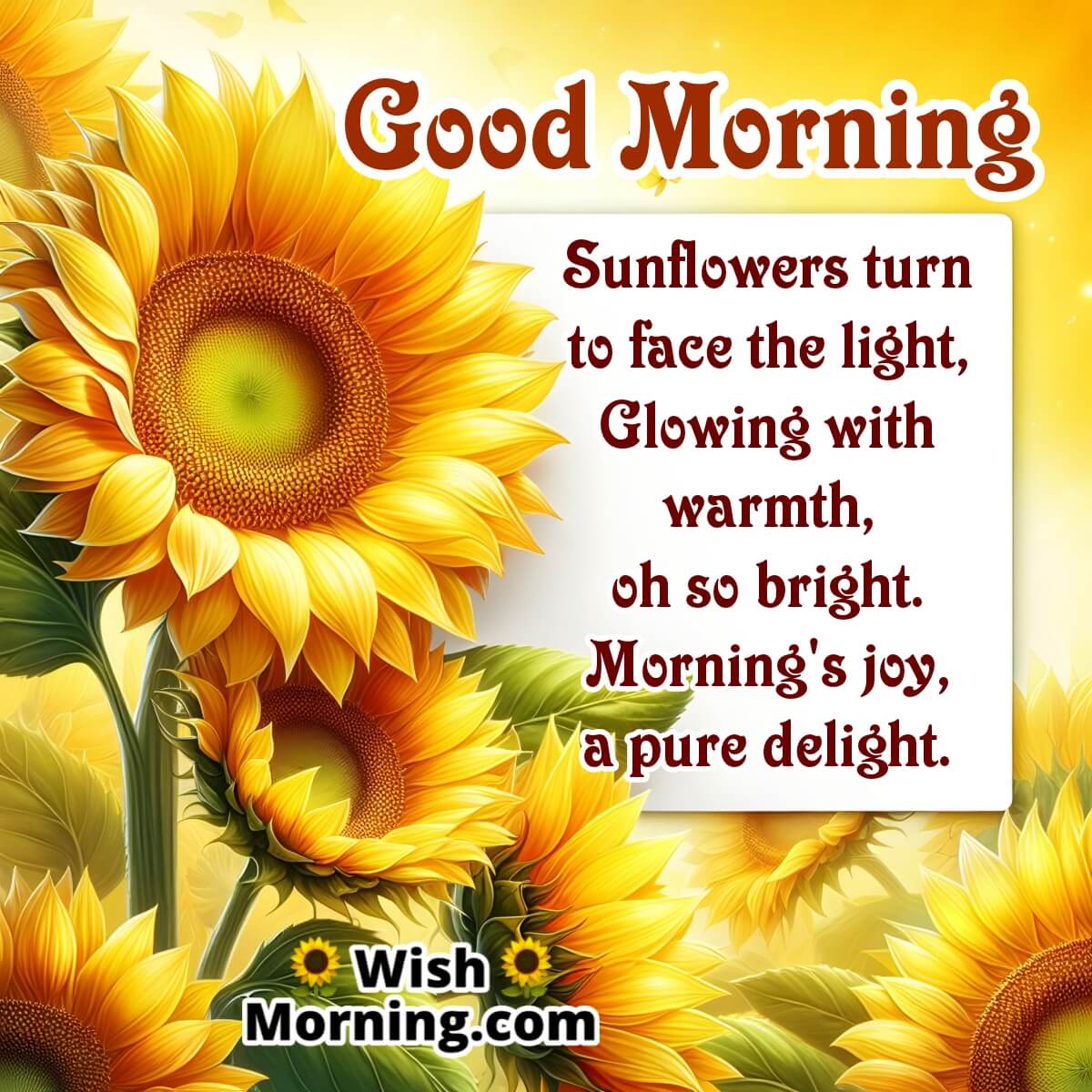Joyful Morning Poem On Sunflower