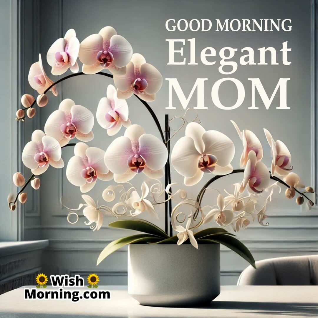 Good Morning Elegant Mom