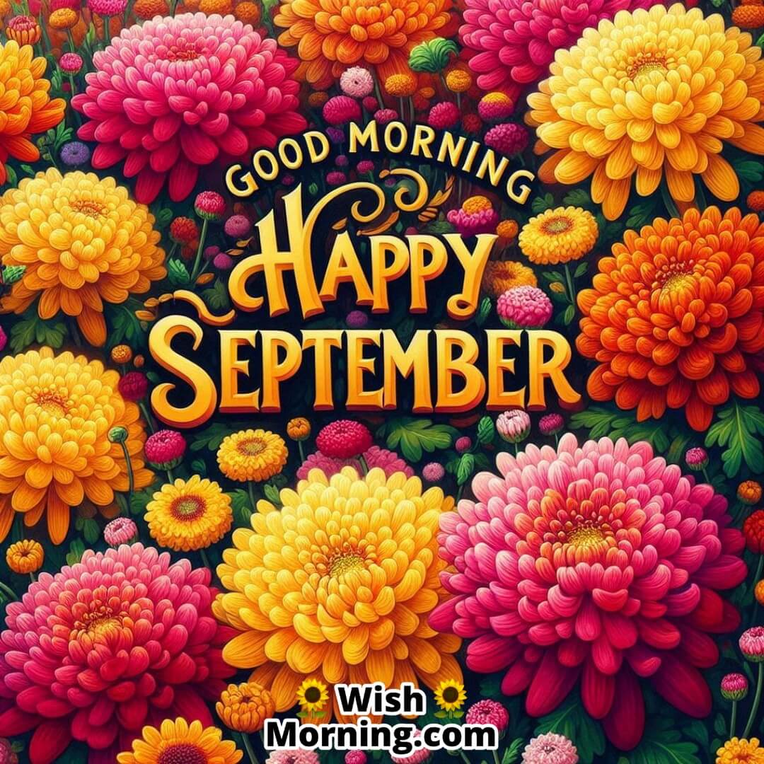 Good Morning Happy September Chrysanthemums