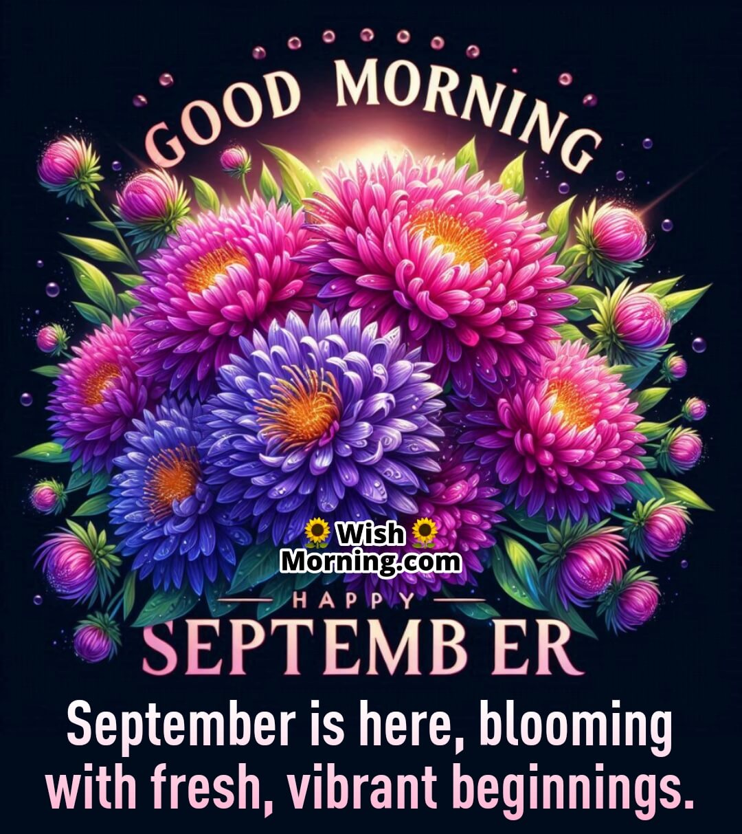 Good Morning Happy September Status Image