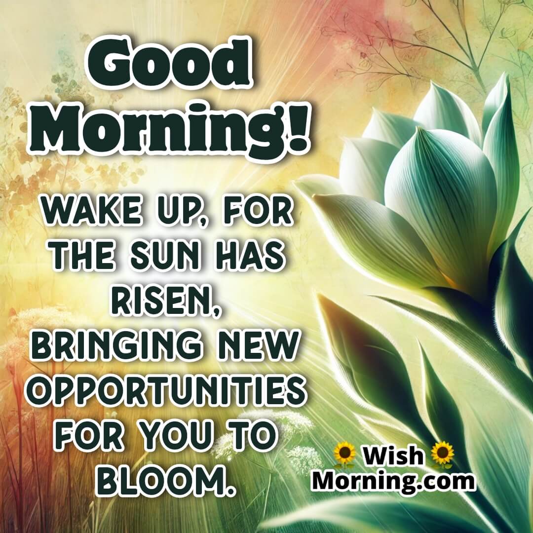 Blooming flower opening to sunlight, symbolizing new opportunities. Soft morning light filters through a garden or field background.