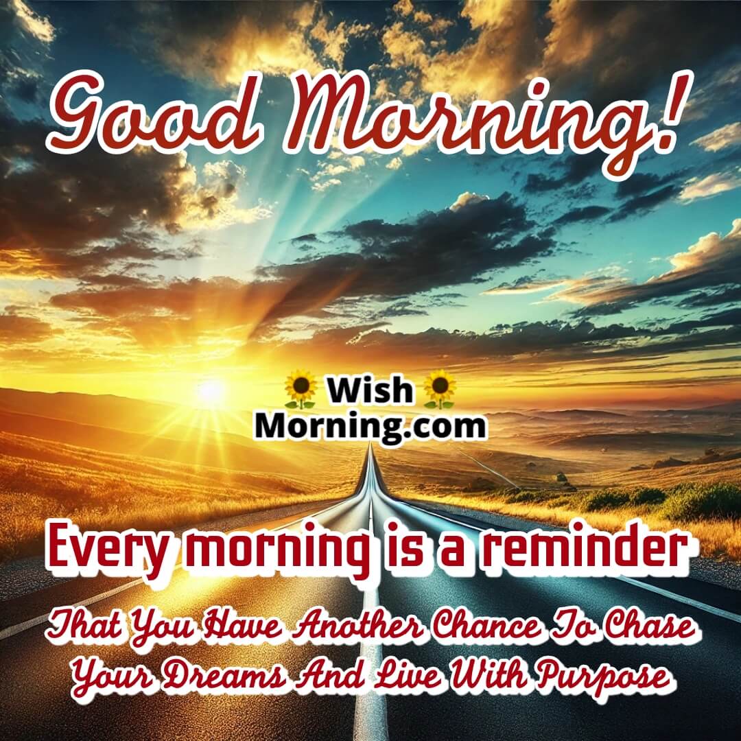 Morning Chase Dreams Picture