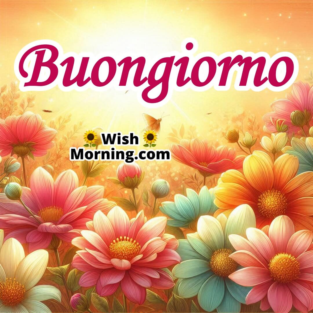 Good Morning Italian Wishes To Brighten Your Day Wish Morning