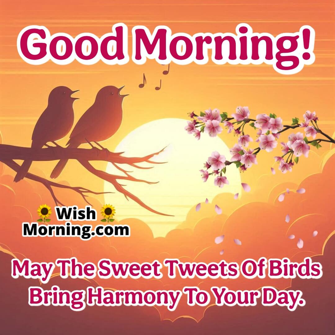 A pair of small birds singing on a branch with the morning sun in the background.