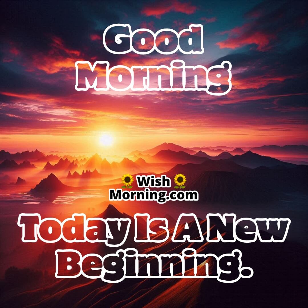 Today Is A New Beginning text on an image depicting the dawn of a new day