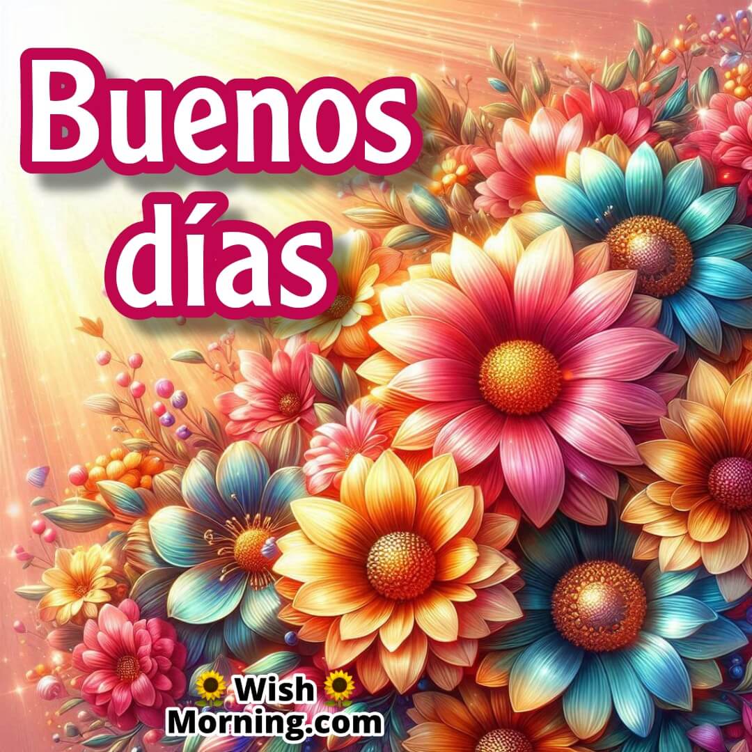 Buenos Días Flowers Pic
