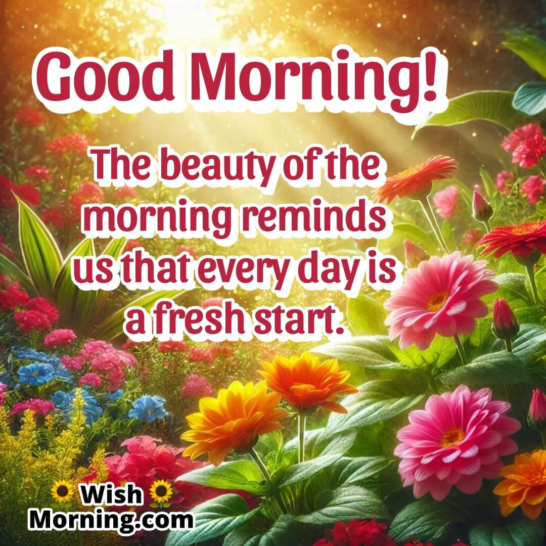 A vibrant garden with fresh, bright flowers and morning light streaming through. Includes text about starting anew.