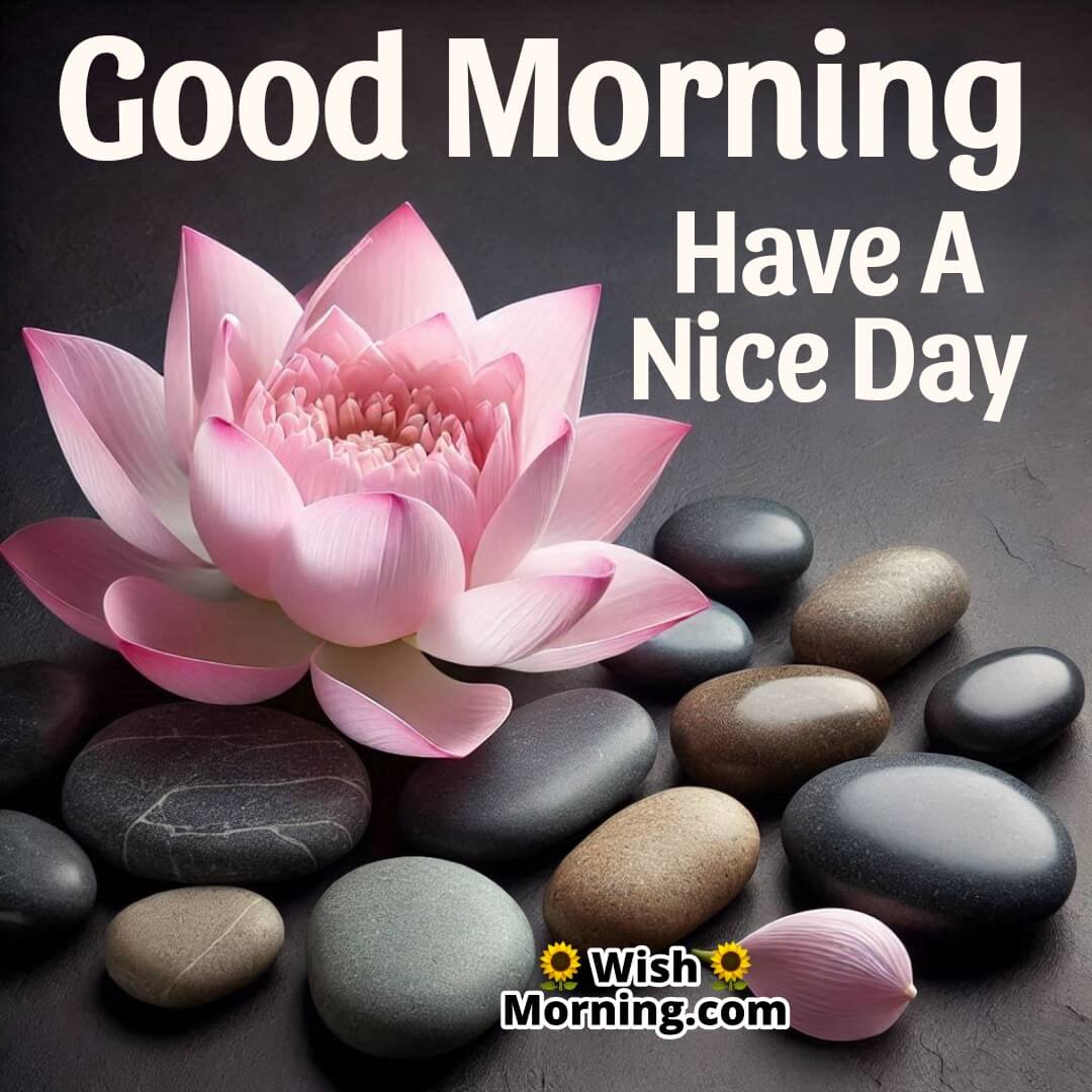 A calming lotus flower beside smooth stones with Good Morning written in a soothing font.