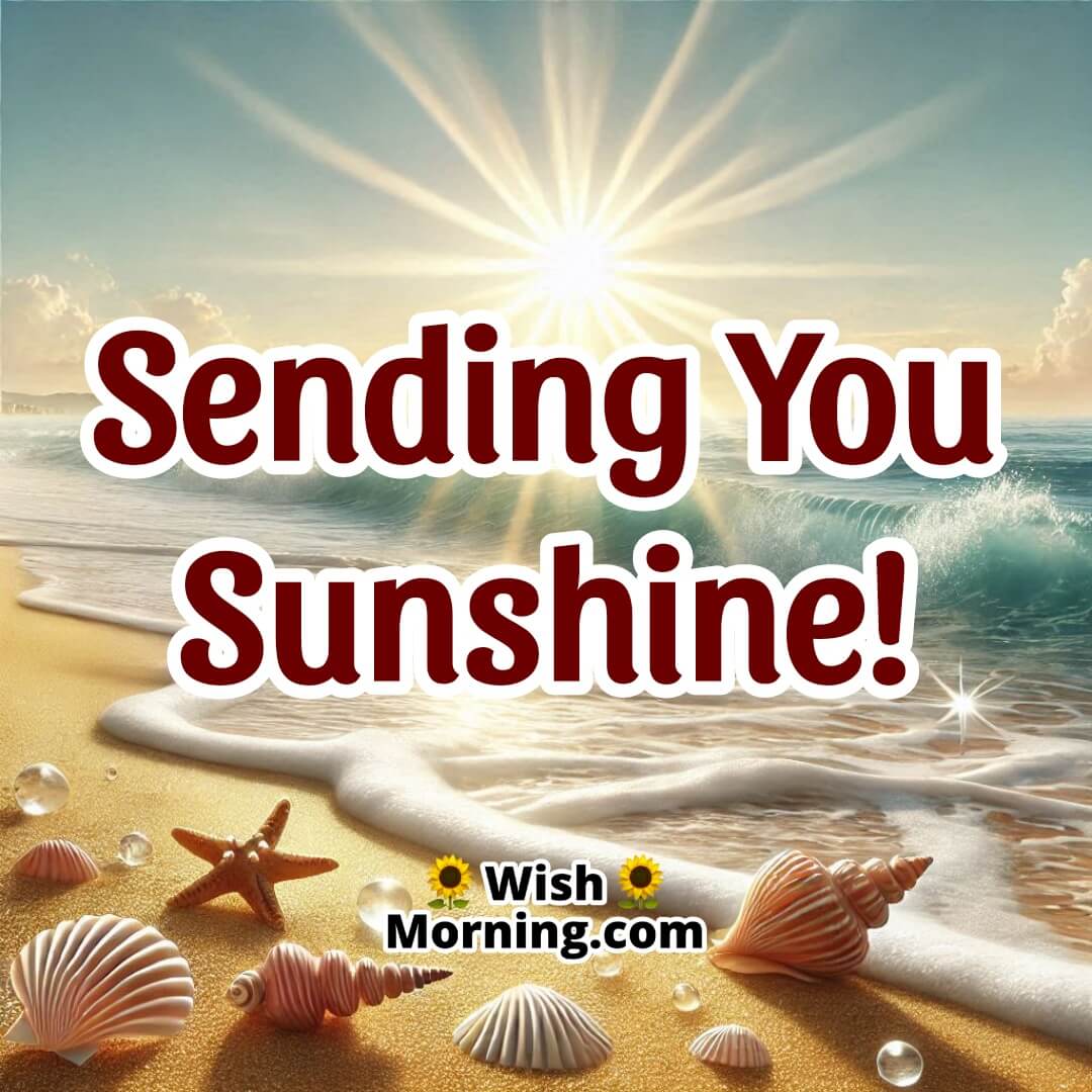Sunny beach with calm waves and seashells for a peaceful day greeting.