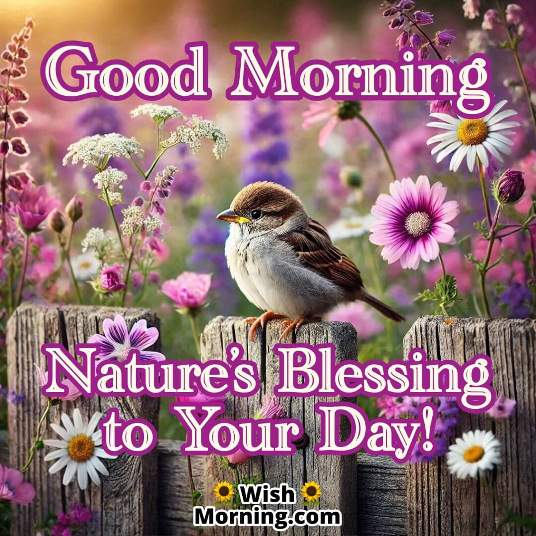 Sparrow on a rustic fence with blooming wildflowers for morning wishes.