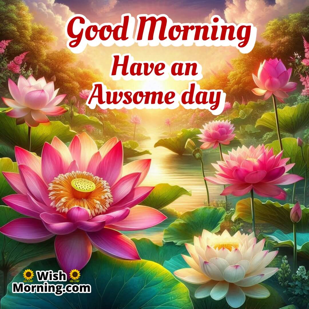 A serene lotus pond at sunrise with blooming pink and white lotus flowers, symbolizing an awesome start to the day.