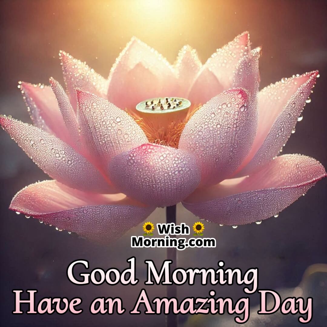 A dewy lotus flower glowing in morning light, radiating beauty for an amazing day.