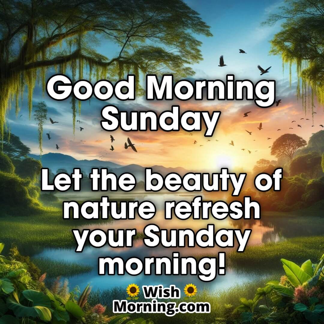 Sunday Good Morning Images For A Peaceful And Happy Day Wish Morning