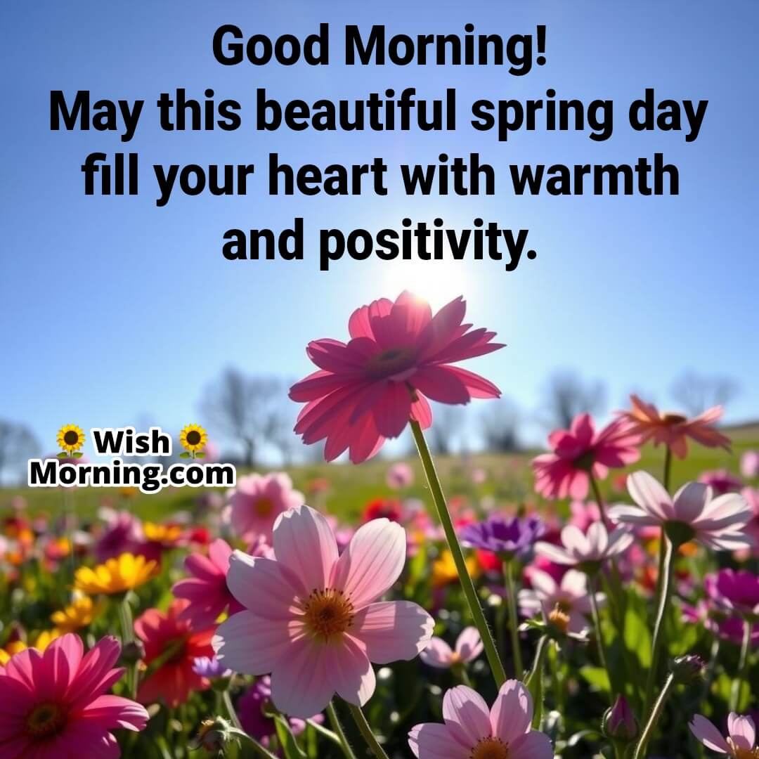 Beautiful Spring Morning Positive Wish