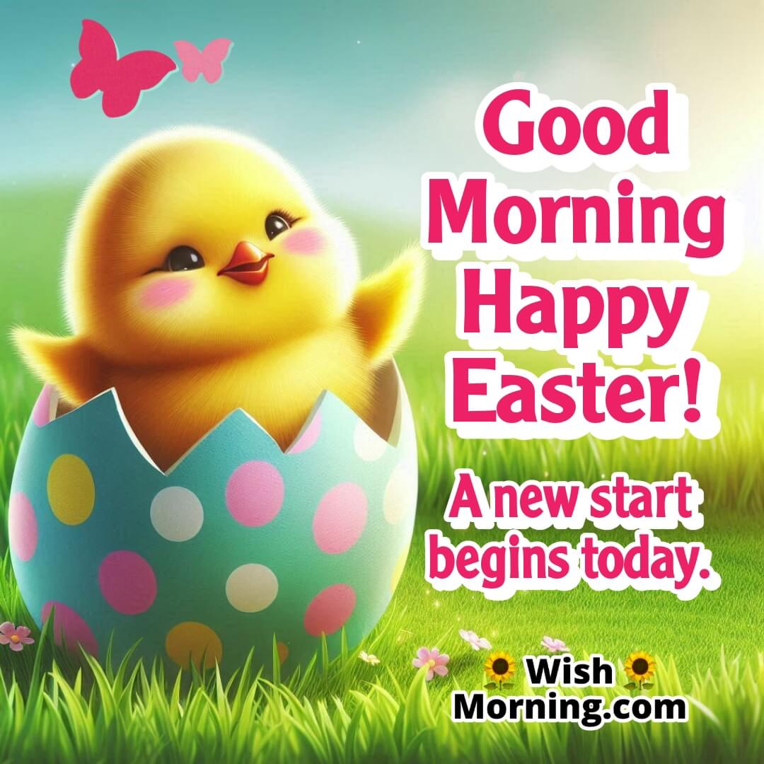 A happy Easter morning with a hatching chick symbolizing new beginnings.