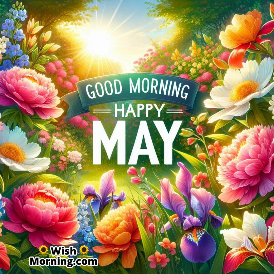 Good Morning Happy May Flowers In Full Bloom Image
