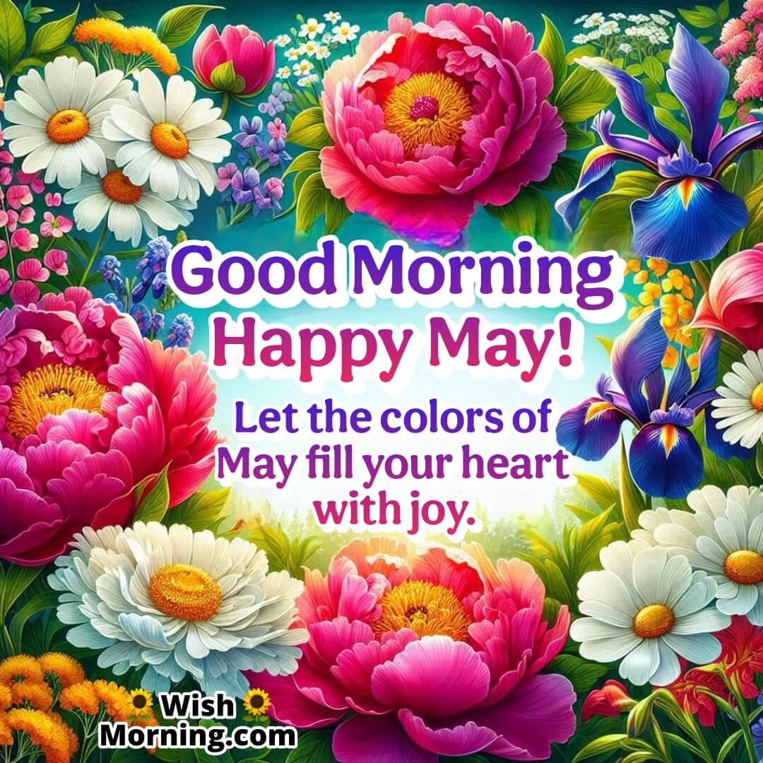 Good Morning Happy May featuring blooming flowers in sunlight, symbolizing abundance, happiness, and vitality.
