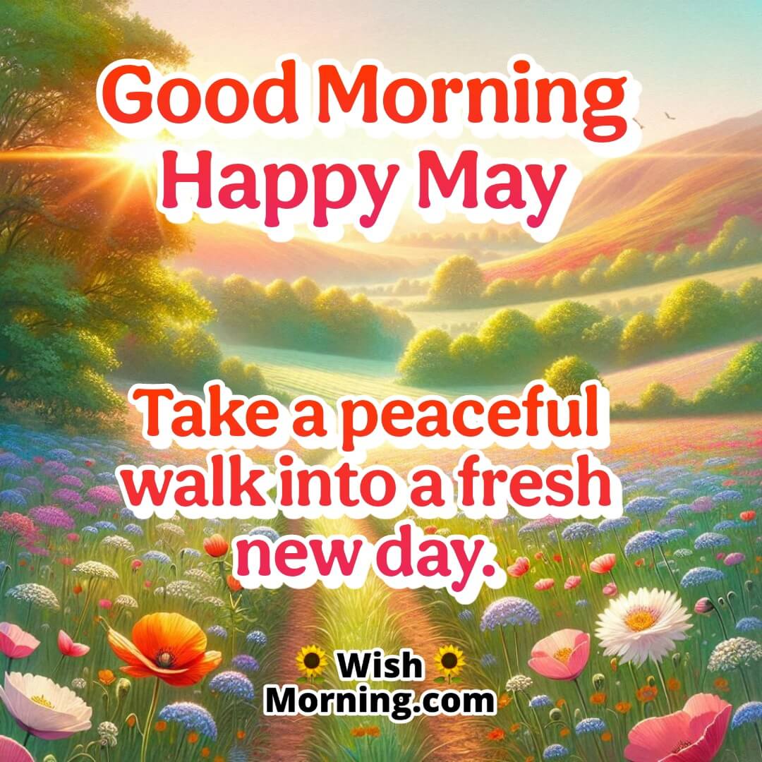 Good Morning Happy May featuring a walk through flowering fields, symbolizing calm beginnings and a blossoming journey.